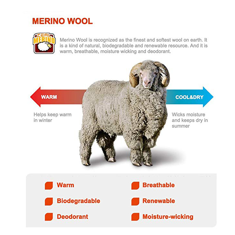 ZEALWOOD Hiking Trekking Men's - Thermal Sock Wool 评论和价格